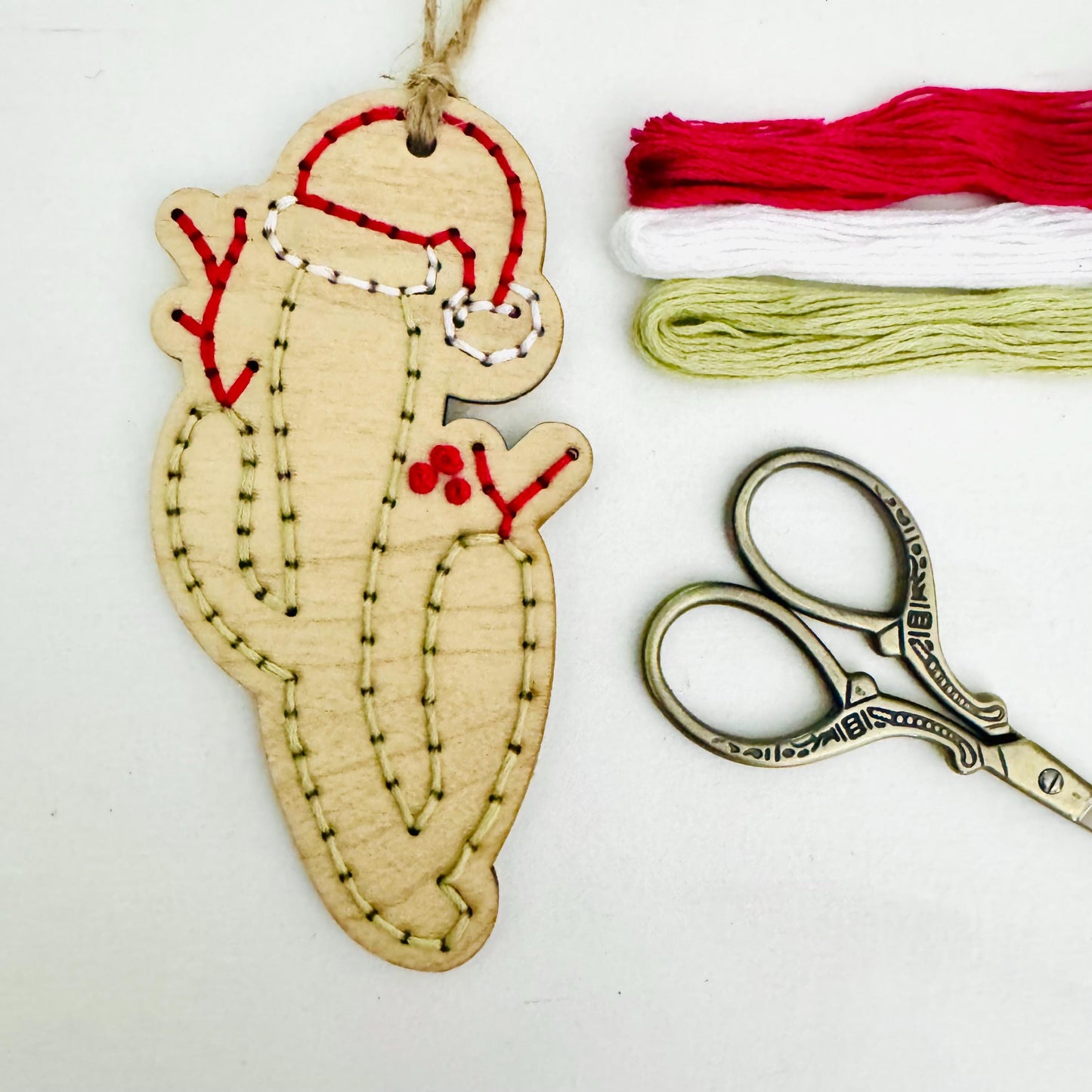 Cactus Themed Wooden Embroidery DIY Kit - Full Instructions Included