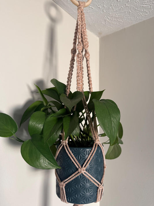 Macrame Plant Hanger DIY Kit: Beginner-Friendly Craft Project