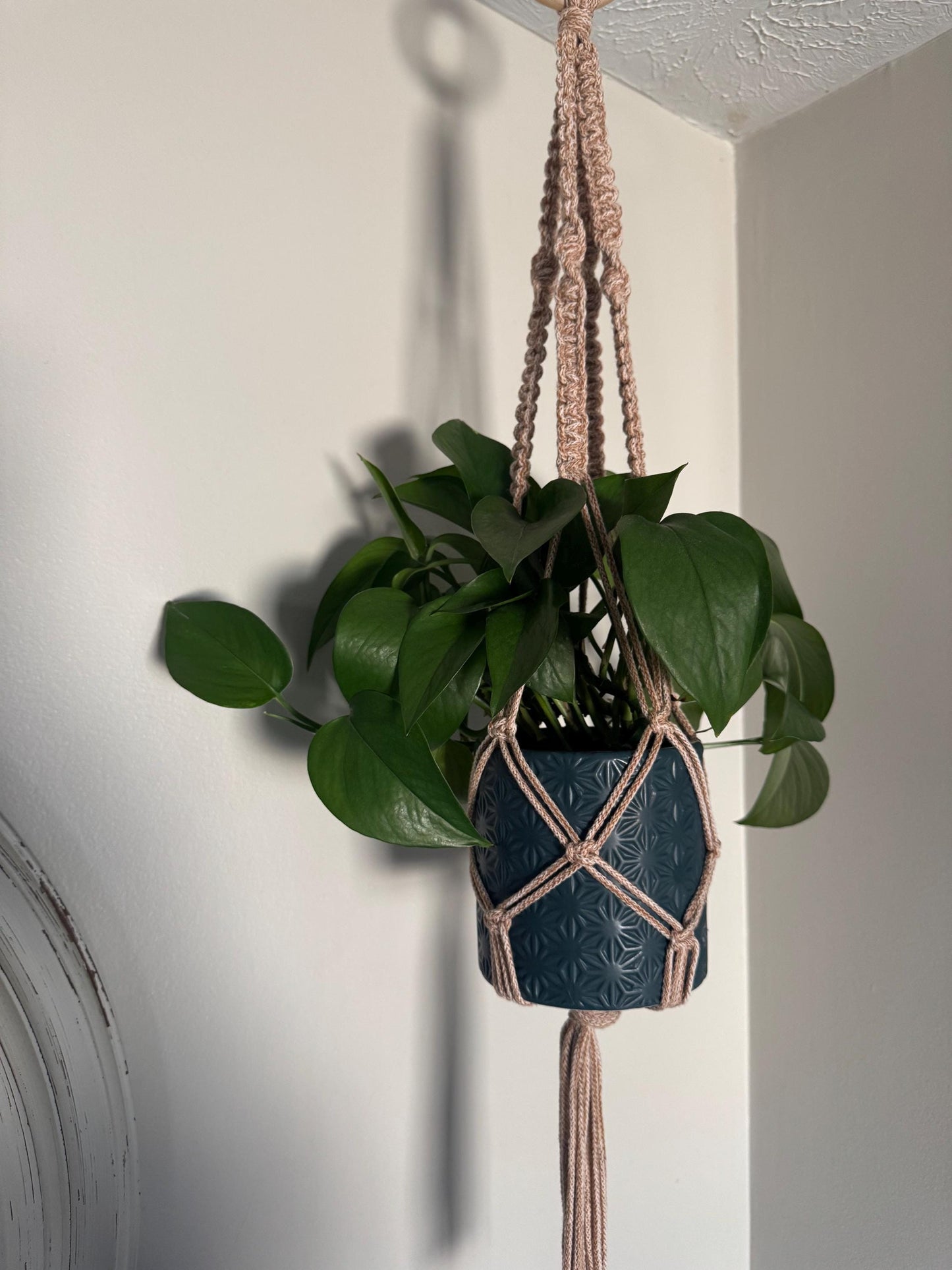 Macrame Plant Hanger DIY Kit: Beginner-Friendly Craft Project