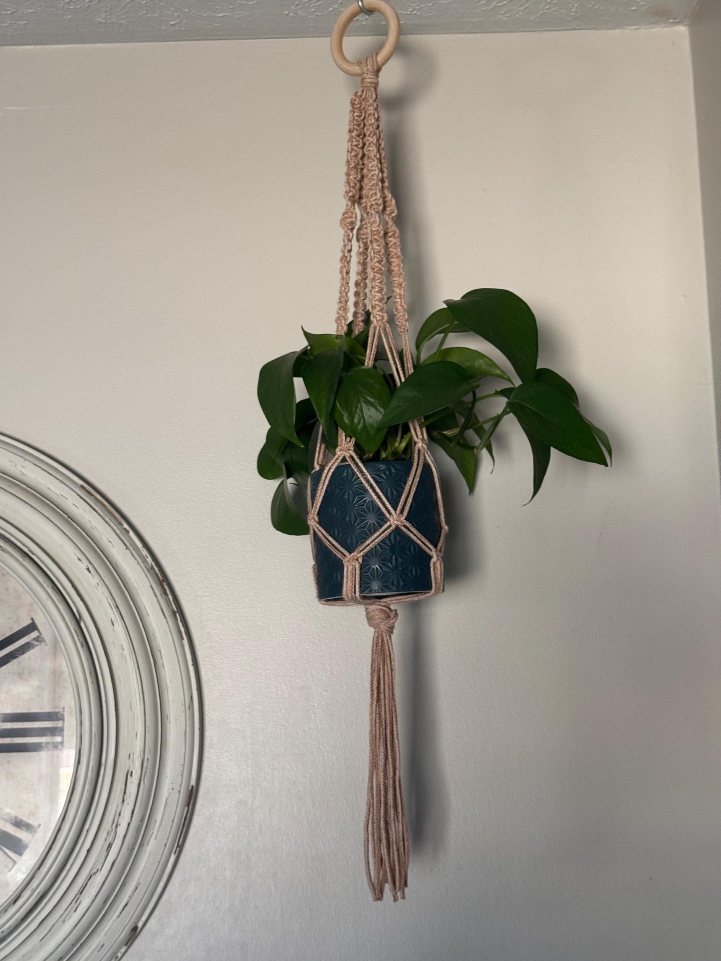 Macrame Plant Hanger DIY Kit: Beginner-Friendly Craft Project